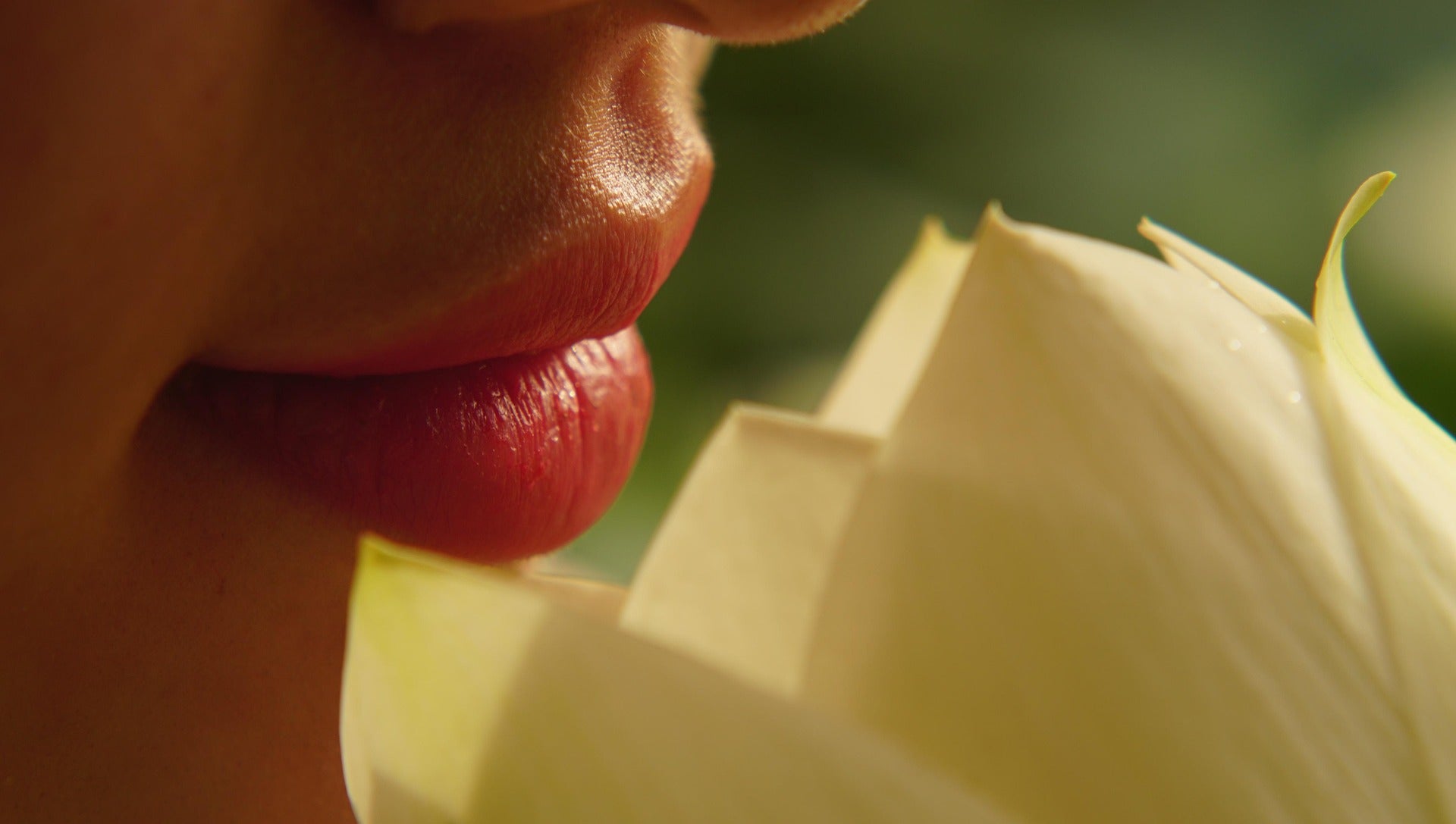 Fragrances